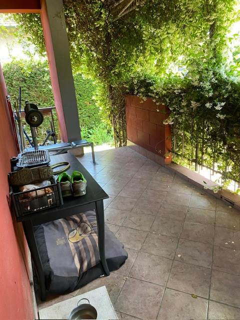VERTEMATE CON MINOPRIO
