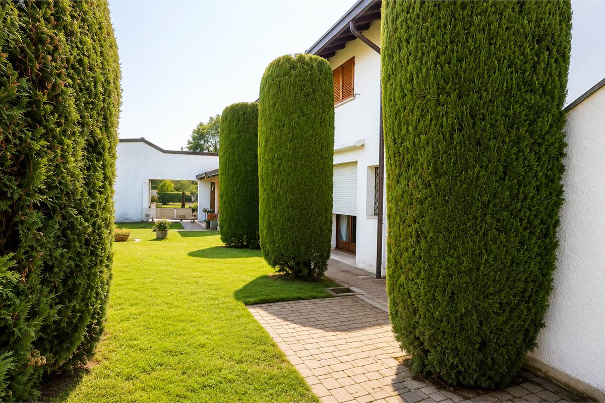 ingresso giardino