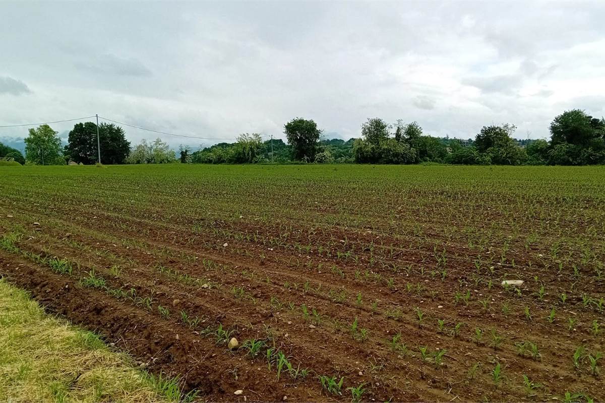 BRENNA vendiamo TERRENO AGRICOLO