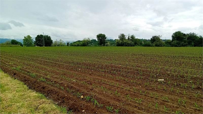 BRENNA vendiamo TERRENO AGRICOLO