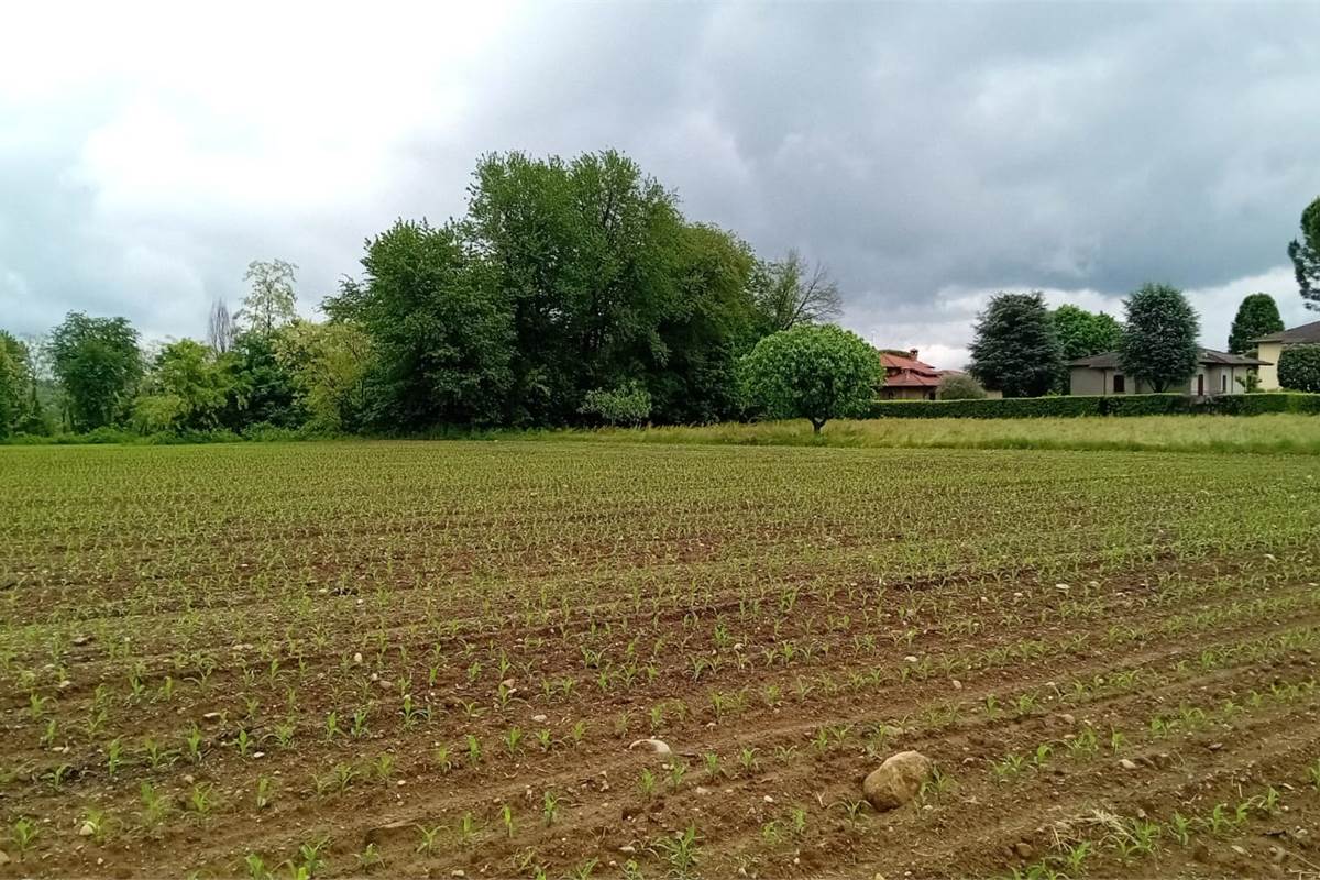 BRENNA vendiamo TERRENO AGRICOLO