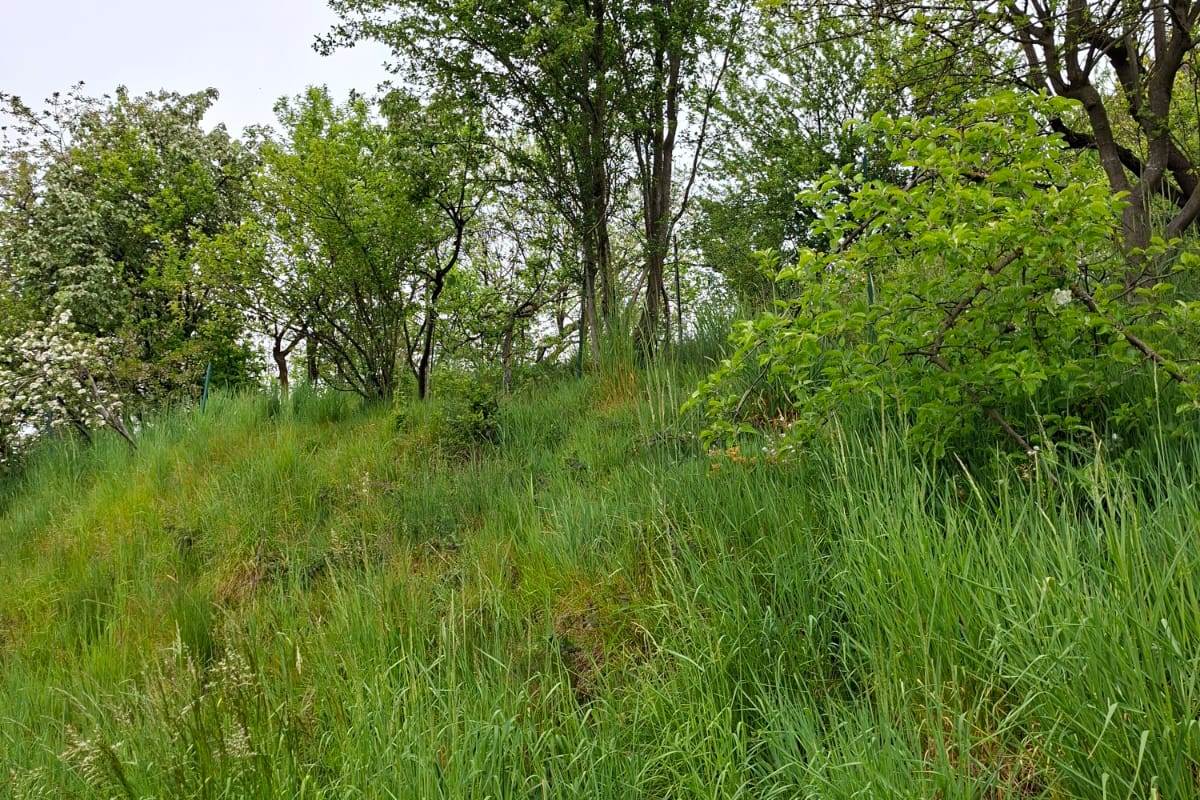 CANTU' vendo TERRENO edificabile e agricolo totali Mq 2.630