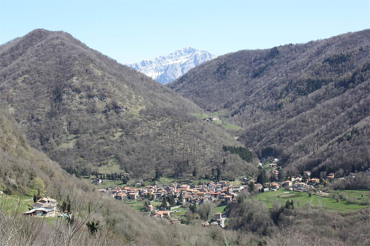 ASSO:PANORAMICO 4 LOCALI/DOPPI SERV.POSS.BOX